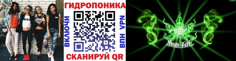 Галлюциногенные грибы Верхняя Пышма