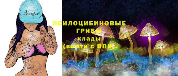 гидропоника Каменногорск